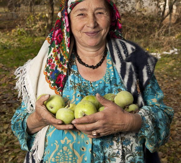 Apples from the wild forest of Tajikistan