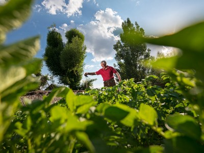 farmers and healers using traditional knowledge