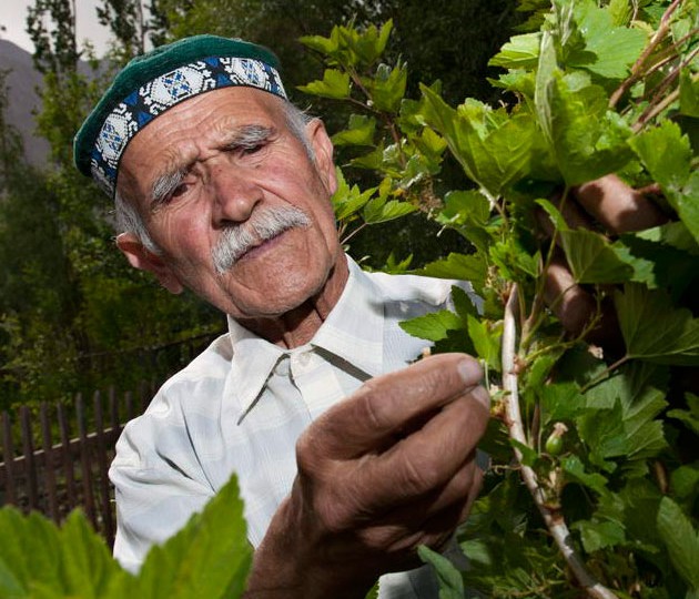 Traditional healers and herbalists