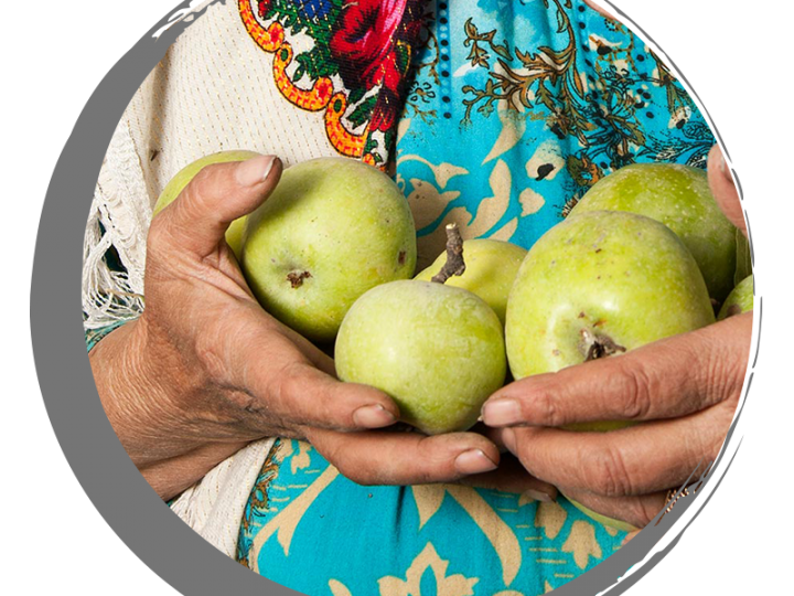 Forest Apple and healers