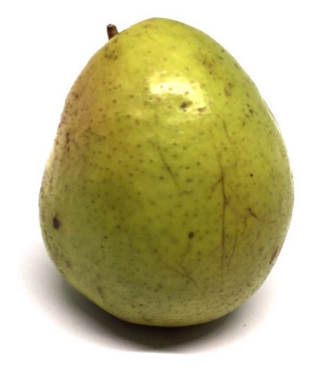 Pear of Gharm